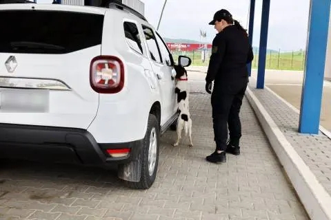 Черги на кордоні з Польщею: де найбільше авто