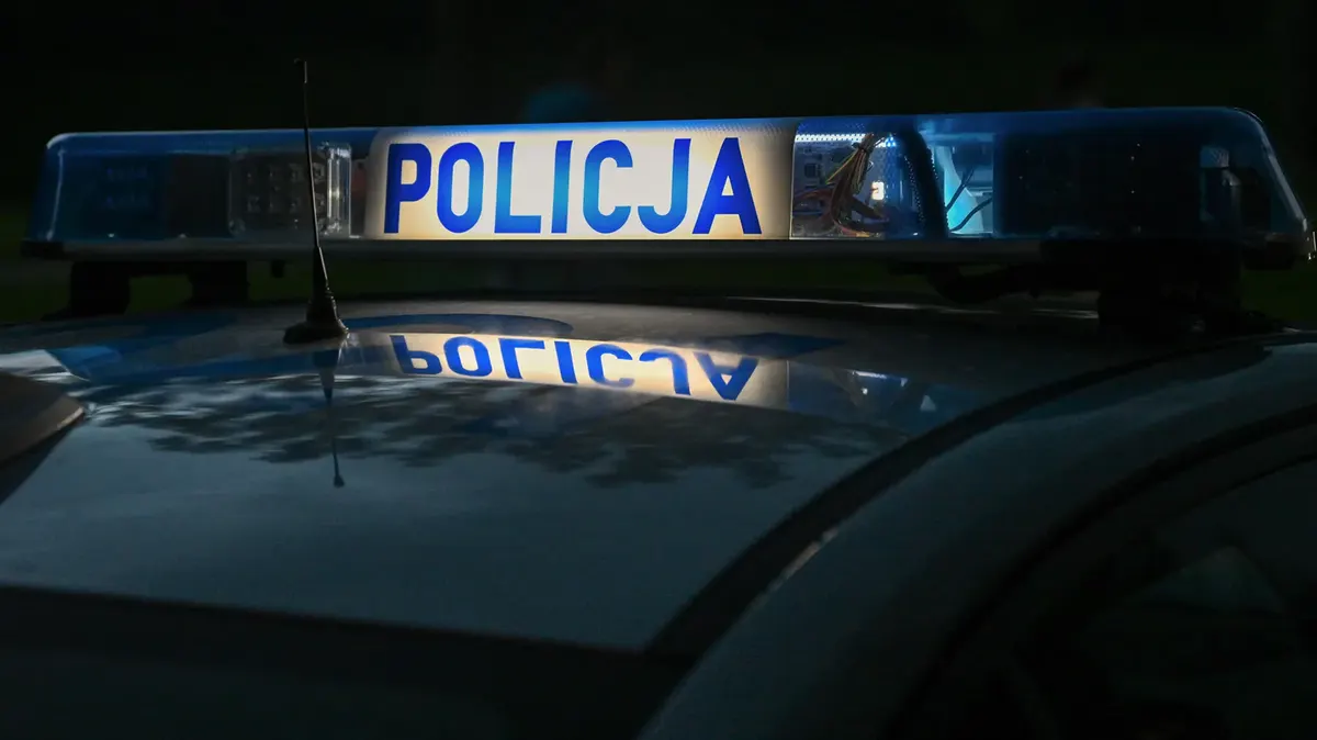 У Польщі на Люблінщині виявили кратер після вибуху невідомого об'єкта