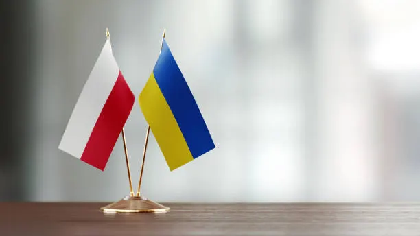 У Польщі затримали підозрюваних у побитті українського підлітка