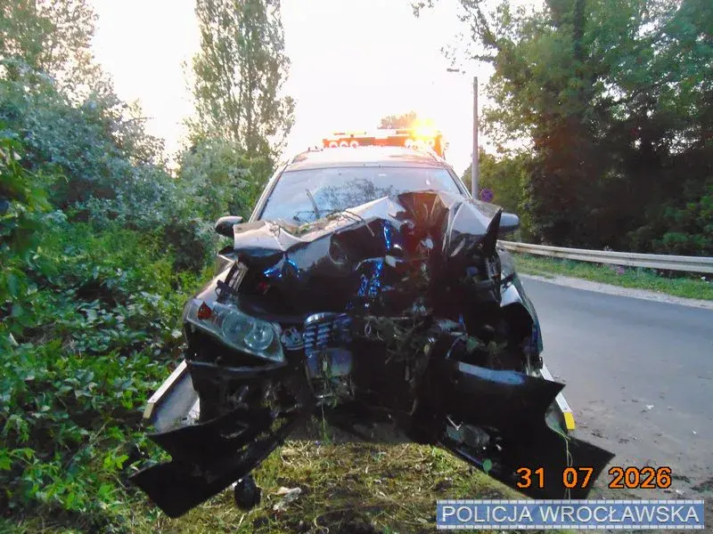 У Польщі п'яні українці на Audi врізалися в дерево: постраждала пасажирка з багажника