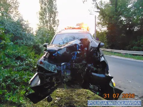 У Польщі п'яні українці на Audi врізалися в дерево: постраждала пасажирка з бага