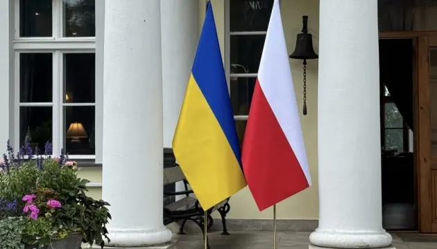 Україна пропонує Польщі допомогу в розслідуванні падіння об'єкта