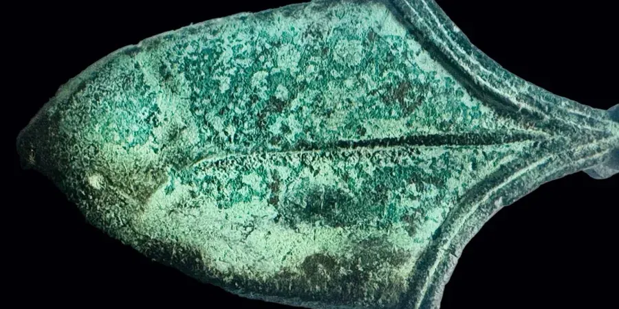 У Польщі знайшли наконечник піхов меча XI століття: що це означає для України