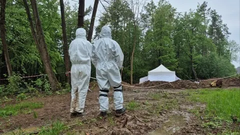 Польща вперше за довгий час дала Україні дозвіл на пошукові роботи