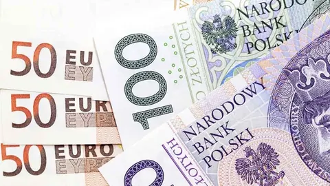 Польща підняла мінімалку до 4950 злотих: як це співвідноситься з Україною