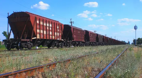 Залізницею до Польщі везуть найбільше зерна: серпневі підсумки УЗ