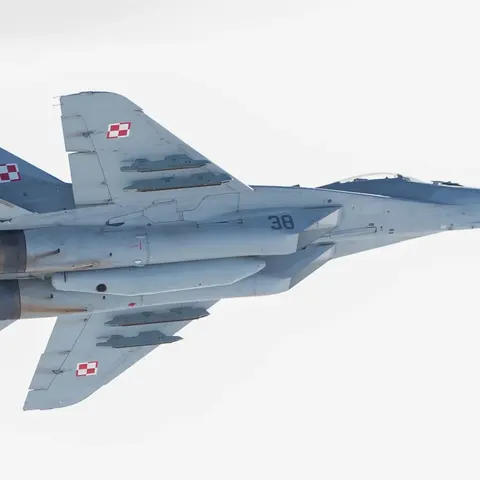 Польща оцінила ризики передачі Україні МіГ-29: що відомо