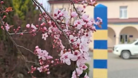 Черги з 50 авто на кордоні з Польщею: де саме