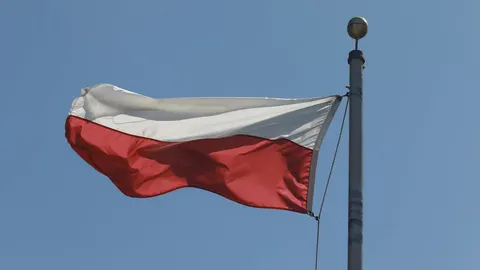 Польща проведе найбільший в історії військовий парад: що покажуть