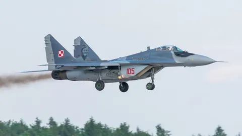 Польща визнала експлуатацію МіГ-29 небезпечною: що далі з літаками