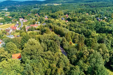 У Польщі відкрили перший «громадський ліс» біля Вроцлава: план на 11 зон