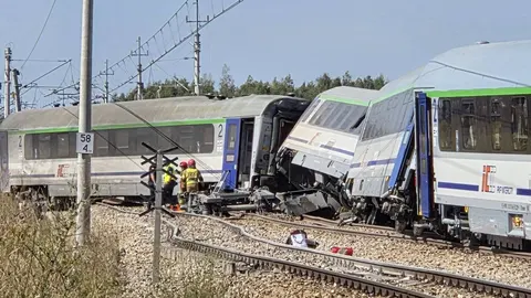 У Польщі потяг зійшов з рейок після зіткнення з вантажівкою: 20 постраждалих