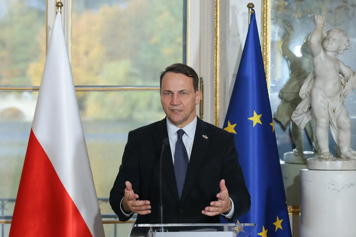 Сікорський назвав найскладніші теми переговорів про вступ України до ЄС