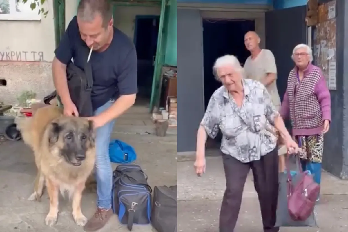 Із Дружківки евакуювали чотирьох людей та собаку Джангу
