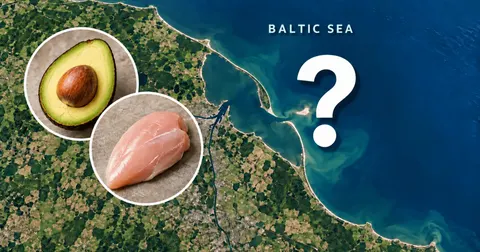 У Польщі біля гирла Вісли виник новий острів незвичної форми