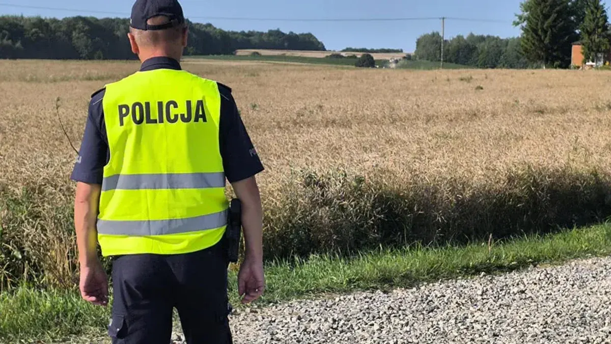 Російська ракета Х-101 впала на території Польщі: що відомо