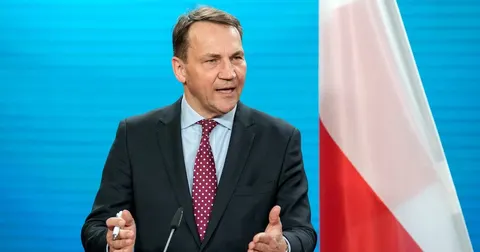 Польща погрожує ЄС: Сікорський розкритикував рішення Зеленського про УПА